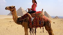 Day Tour To Giza Pyramids By Camel