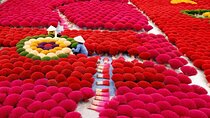 Private Half Day Tour to Quang Phu Cau Incense village from Hanoi