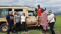 Full Day Private Wonder Ngorongoro Crater and Safari Adventure