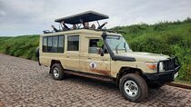 Full Day Serenity Adventure in Tarangire National Park