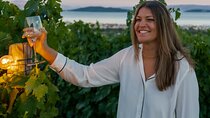 Vineyard Wine Tasting Experience with a Sea view from Split