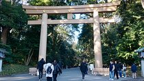 Tokyo Harajuku Meiji Shrine 1 Hour Explanation Tour