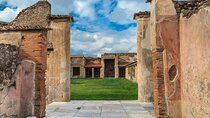 Pompeii Guided Group Tour from Rome by Train