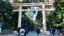Tokyo: Harajuku From Meiji shrine to Shibuya Crossing