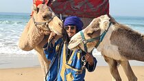 Camel Ride on the Beach From Awrir or Tamraght