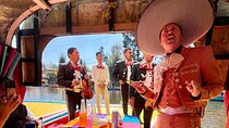  Mixology, Food, Wine and Beer Experience in Xochimilco