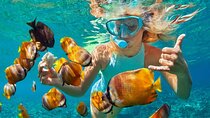 1 Hour Private Snorkeling Activity In Montego Bay 