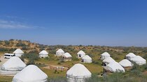 2 Days of Tour in Yurt Camp and Aydarkul