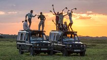 3-Days Private Budget Safari: Tarangire, Ngorongoro & Manyara