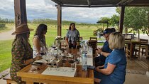 Luján Wine Tasting Guided Experience with Lunch