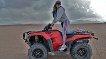 Adventure 3 hour Quad with Camel Sharm El Sheikh 