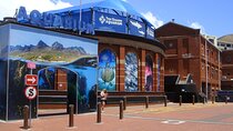 Robben Island Two Oceans Aquarium and Sunset Cruise
