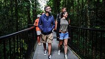 Port Douglas & Daintree Tour for Cruise Ship Passenger