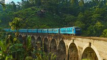 Private Ella Tour from Galle and Weligama with Meals Included