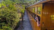 Half Day Guided Tour in Soller Train and Tram