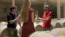 Small Group - Half-Day Wine Tour