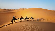 Fez to Merzouga Desert Trip camel ride and night camp
