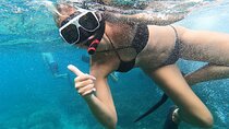 Experience Snorkeling in Sanur