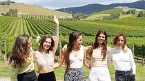 Yarra Valley Full Day Private Wine Tour