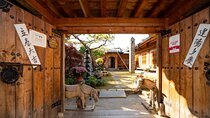 Jeonju Hanok Village and Plum Blossom Festival Shared Tour