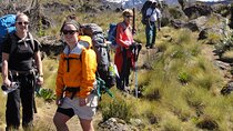 5 Day Hiking Mount Kenya Via Chogoria Route From Nairobi
