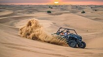 Dubai Evening Desert Safari-Camel Ride And Live Entertainment 