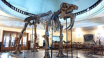 Audio Guide for Museum Paleontology and Historical Geology