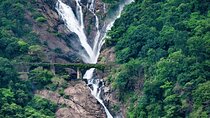 Dudhsagar Waterfalls, Jeep Safari & Spice Plantation private tour