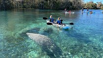 Silver Springs Self Guided Clear Kayak Rentals