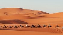 3-Day Tour and 2 nights to Merzouga with food & Camel trek