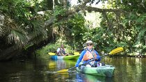 Small Group Scenic Wekiva River Kayak Tour near Orlando