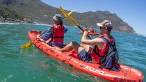 Guided kayaking adventure with marine life in Hout Bay