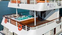IRIS Luxury Halong 1 Day on Cruise From Hanoi with Lunch