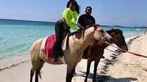 1 Hour Horse Back Riding & Dunn's River Falls Tour Combo
