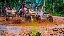 Dominican's 8 hours Trip Zipline, ATV Buggie, Horseback & Safari