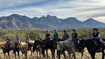 One Hour Guided Horseback Ride
