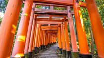 Full Day Guided Tour to Kyoto and Nara from Osaka by Van