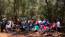 Karura Forest Nature Trail Day Tour