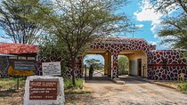 3 Days 2 Nights Samburu Sopa Lodge Private Safari