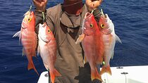 Private Fishing Trip with Equipment and Transfer - Hurghada 