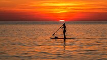 Paddle Board Rental: Glide on the Water with Ease