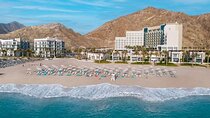 Full Day Fujairah Northern Emirates Tour 