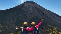 Pacaya Volcano Day Trip from Antigua