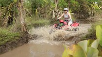 Bali Adventure via Quad Bike Ride ATV Solo Drive in Ubud Private Experience 