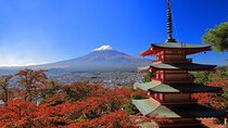 Mt. Fuji, Oishi Park & Arakurayama Pagoda Bus Tour with Lunch