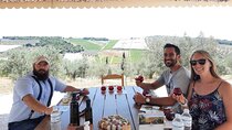 Olive Grove and Winery Excursion from Athens