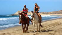 Horseback Riding Adventure in Playa Migriño with Tequila Tasting