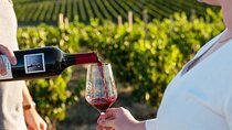 A Truly Barossan Wine Experience - High-End Private Day Tour