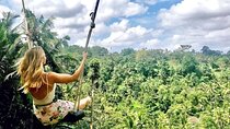  Best of Ubud Tours with Jungle Swing ( All Inclusive )