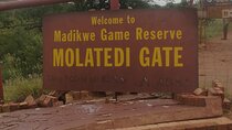  Madikwe Transfer from Johannesburg and Pretoria 